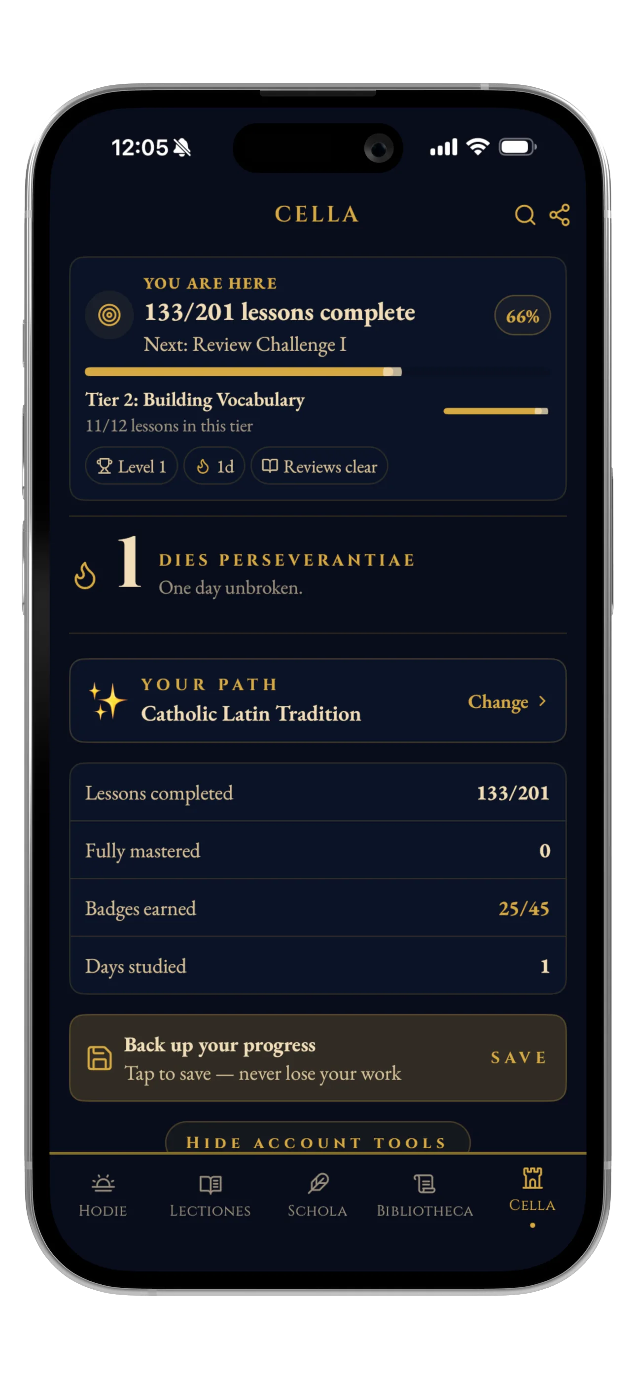 Profile — XP, streak, level, lessons completed, and badges